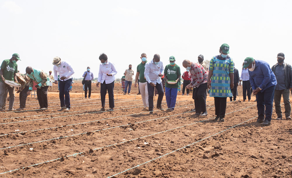 Lançamento da campanha agricolo 2020 - Cuamba Titimane-6.jpg