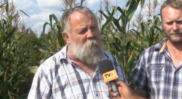 Marrangue Farmer Limitada pode produzir 800 toneladas de milho em Inhambane