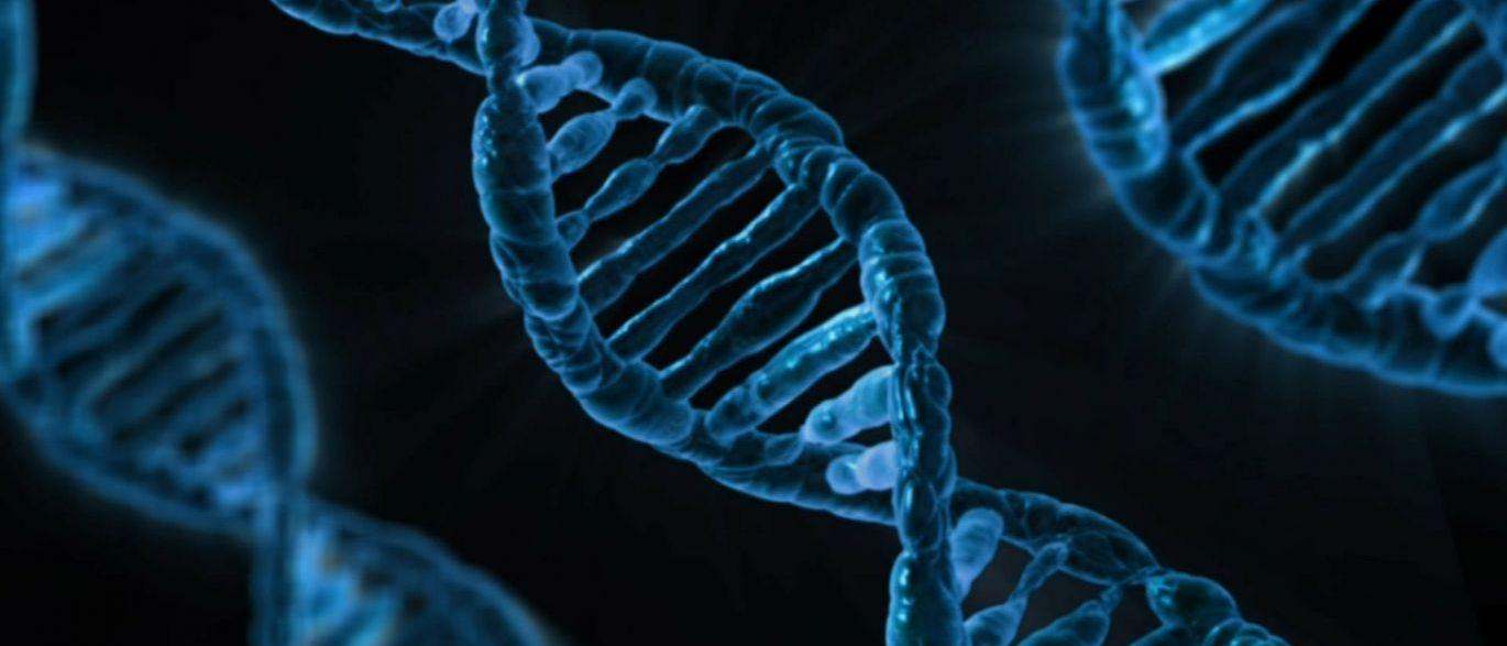 Cientistas já conseguem ‘gravar’ memórias diretamente no ADN humano