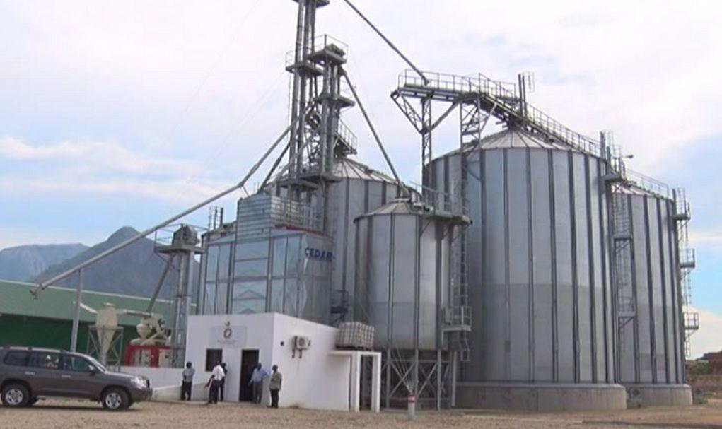 Governo do Malema precisa de cerca de 40 milhões de meticais para reparação da avaria dos silos