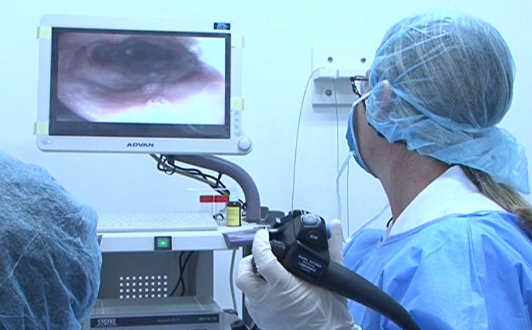 Quelimane já tem capacidade de diagnosticar e tratar patologias intestinais