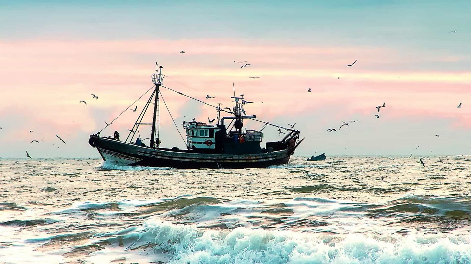 Principais agências da ONU apelam ao combate de pesca ilegal