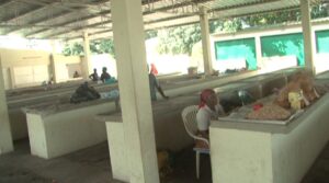 Conselho Municipal irreversível na decisão de retirar das ruas os vendedores informais