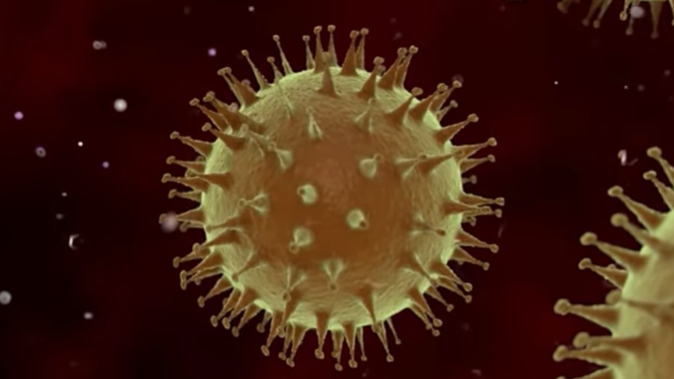 coronavirus-7.jpg