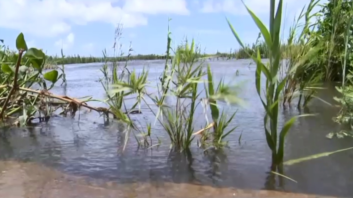 Distrito de Marracuene procura recuperar as culturas alimentares perdidas devido à inundações