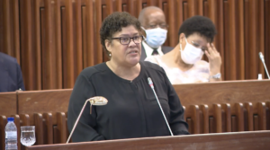 Governo diz que pretende alargar serviços de apoio e protecção social em Cabo Delgado