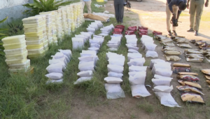 Tráfico de Drogas em Nampula: SERNIC desmantela mais uma quadrilha liderada por cidadãos nigerianos