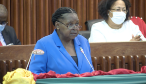 Parlamento fecha as portas e deixa por fora 17 matérias