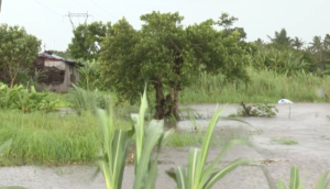 “ANA” mata menor de quatro meses na periferia de Chimoio, Manica