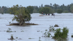 Interrompida a circulação rodoviária na Estrada Mopeia-Luabo