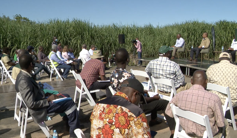 Moçambique atingiu 261 mil toneladas de produção de açúcar na campanha passada