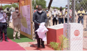 PR inaugura nova linha de energia eléctrica em Ntlhavene, Mabalane