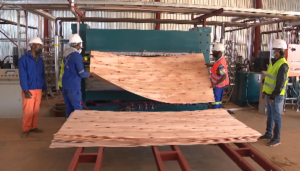 Processamento de Madeira: Investidos mais de USD 4.5 milhões na implantação de uma fábrica no Niassa