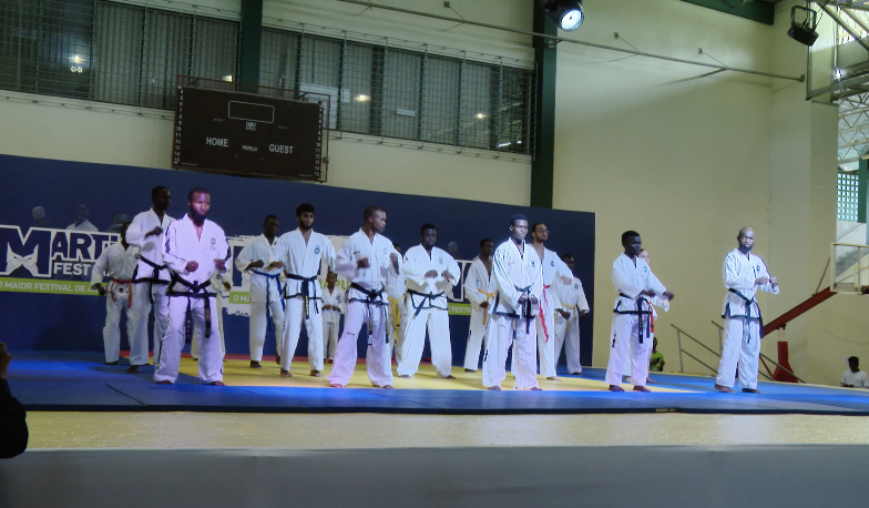 Festival de Artes Marciais junta centenas de atletas em Maputo