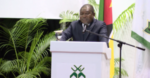 Nyusi convida empresários finlandeses a investir em Moçambique