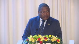 Apesar do início da exportação do gás natural: Nyusi quer uma economia diversificada