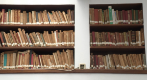 “Biblioteca digital” em Quelimane : Citadinos demonstram cada vez mais interesse na leitura