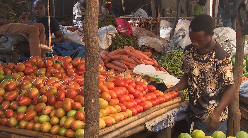 Escassez de hortícolas em Pemba: Munícipes queixam-se de subida de preços de produtos