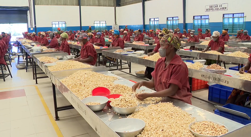 Diplomacia Moçambique – Ucrânia: Os dois países pretendem reforçar a cooperação na agricultura e noutras áreas