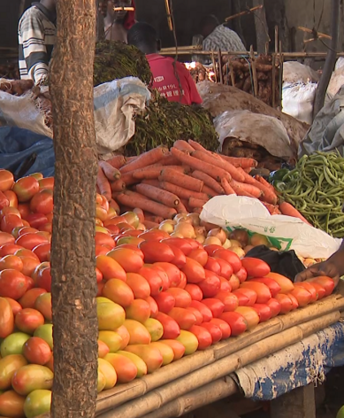 Escassez de hortícolas em Pemba: Munícipes queixam-se de subida de preços de produtos